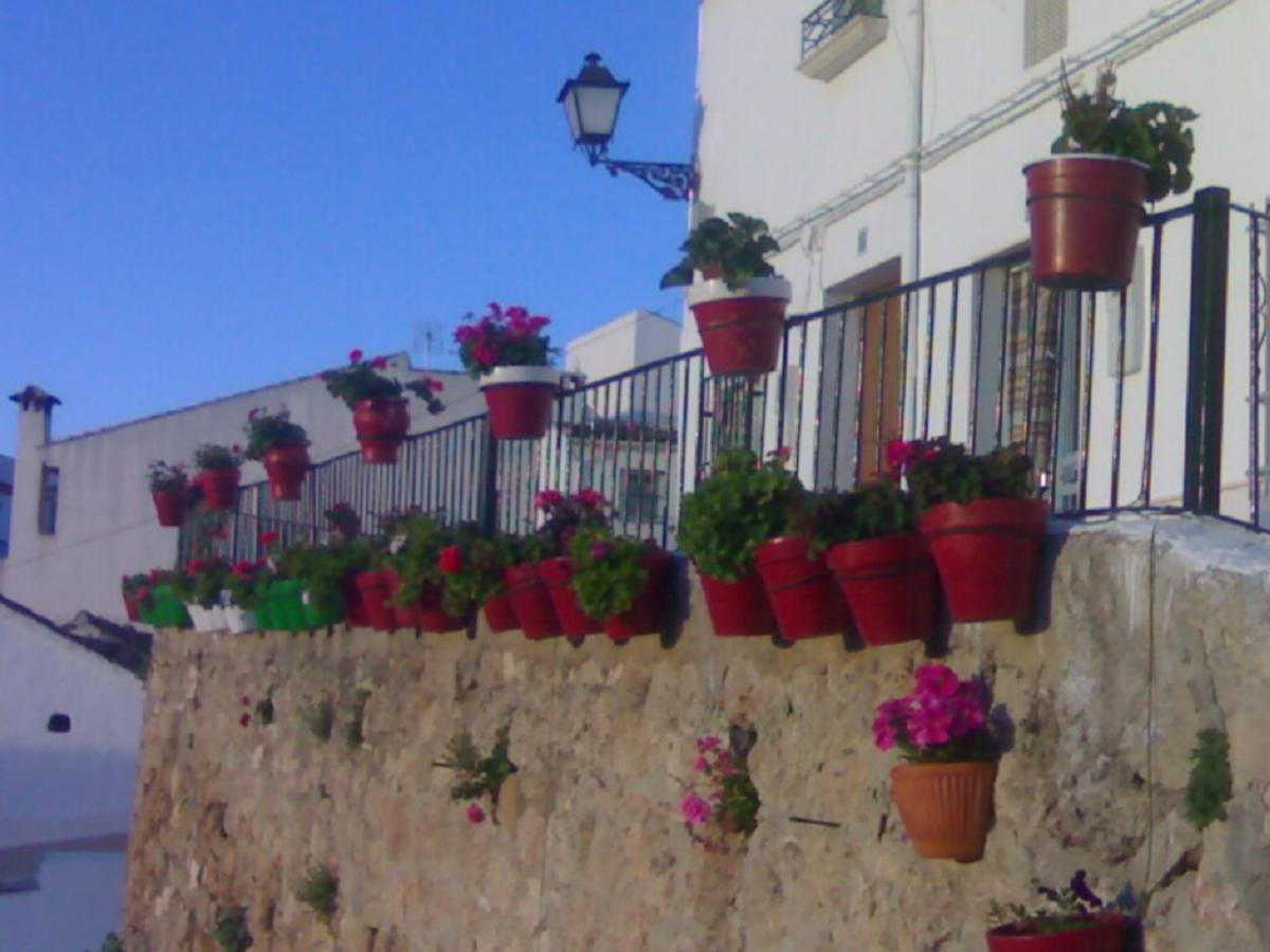 Вилла Casilla Dalea En Carcabuey, Descubre El Interior De Andalucia Экстерьер фото
