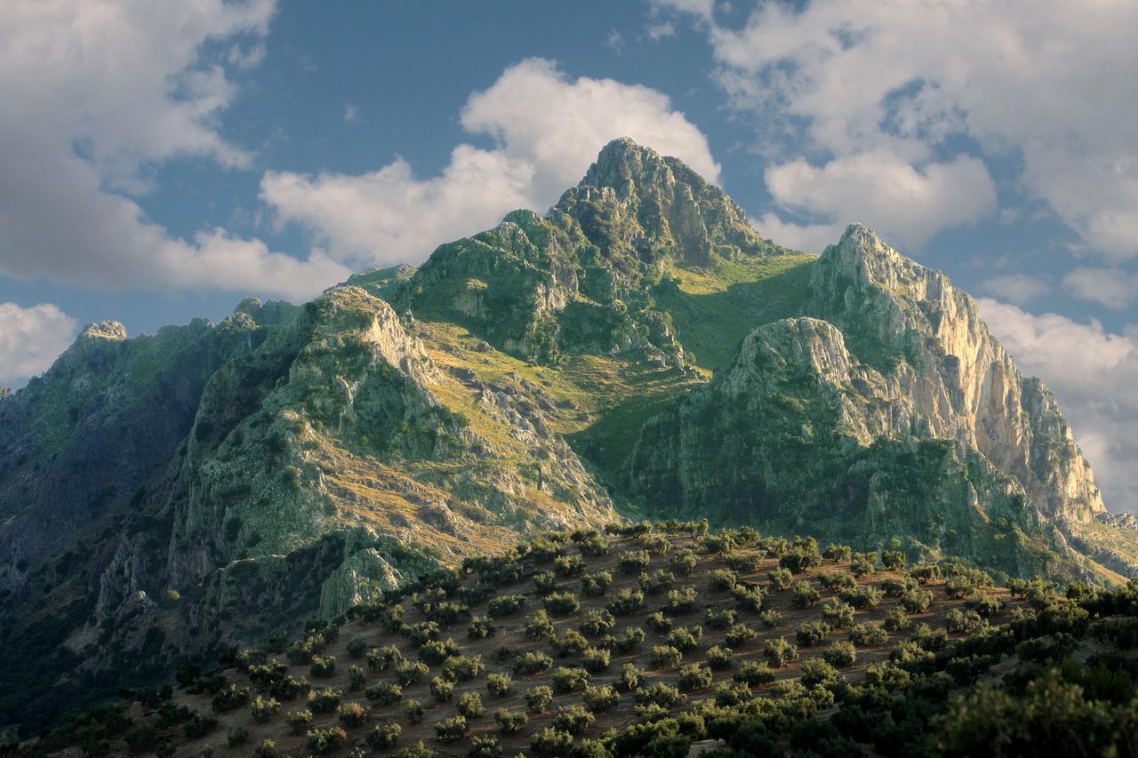 Вилла Casilla Dalea En Carcabuey, Descubre El Interior De Andalucia Экстерьер фото